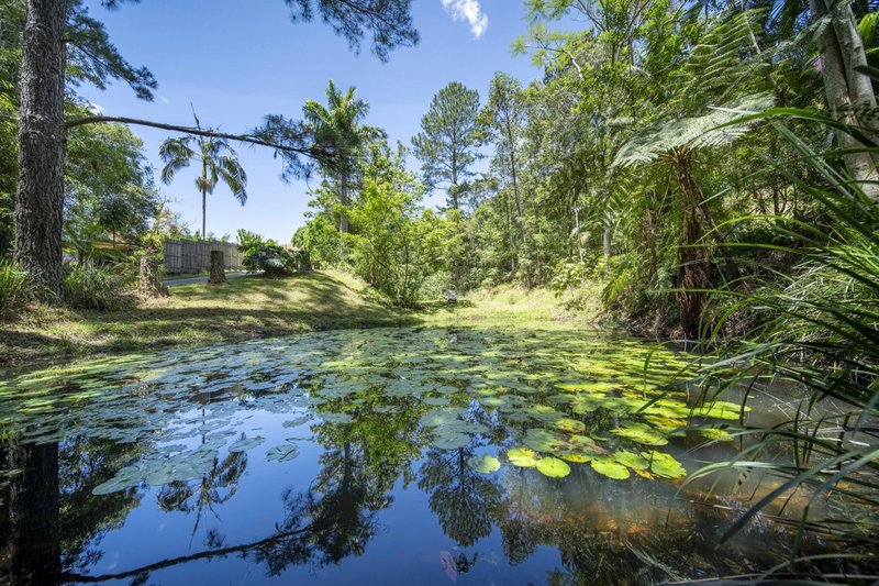 Photo - 829 The Pocket Road, The Pocket NSW 2483 - Image 32