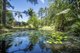 Photo - 829 The Pocket Road, The Pocket NSW 2483 - Image 32