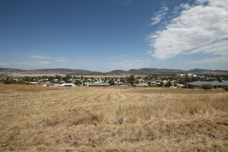 Photo - 83-85 Punyarra Street, Werris Creek NSW 2341 - Image 3