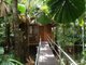 Photo - 83 Cape Tribulation Road, Cape Tribulation QLD 4873 - Image 1