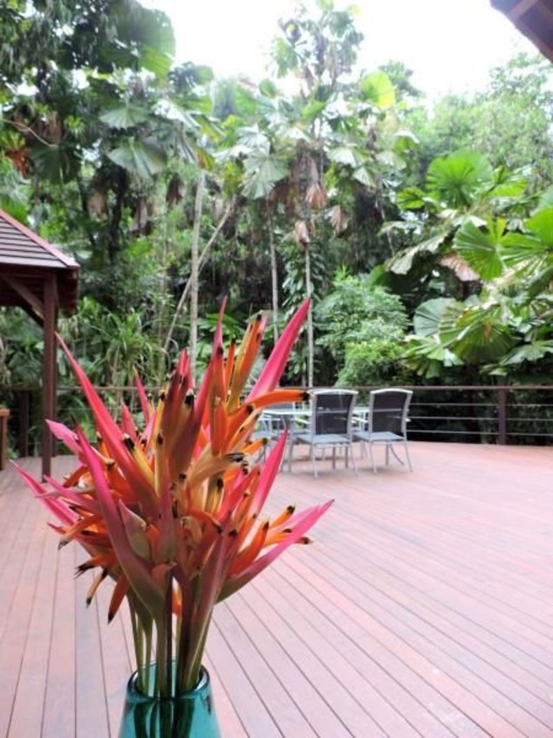 Photo - 83 Cape Tribulation Road, Cape Tribulation QLD 4873 - Image 7