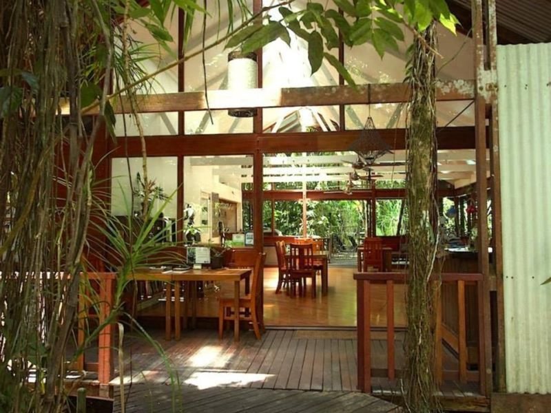 Photo - 83 Cape Tribulation Road, Cape Tribulation QLD 4873 - Image 11