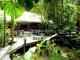 Photo - 83 Cape Tribulation Road, Cape Tribulation QLD 4873 - Image 12