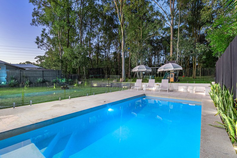 Photo - 83 Dannenberg Street, Carseldine QLD 4034 - Image 3