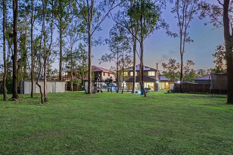 Photo - 83 Dannenberg Street, Carseldine QLD 4034 - Image 6