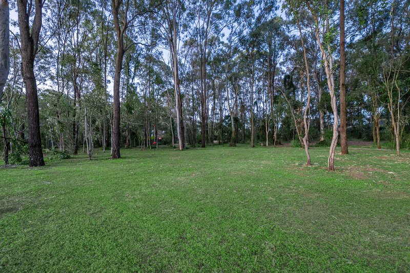 Photo - 83 Dannenberg Street, Carseldine QLD 4034 - Image 8