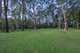 Photo - 83 Dannenberg Street, Carseldine QLD 4034 - Image 8