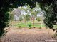 Photo - 83 Donges Road, Young NSW 2594 - Image 23