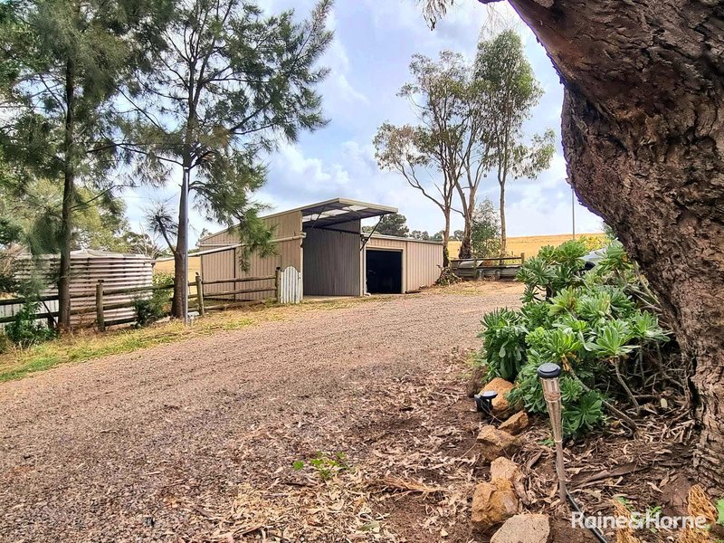 Photo - 83 Donges Road, Young NSW 2594 - Image 33