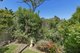 Photo - 83 Lakeview Road, Wangi Wangi NSW 2267 - Image 25