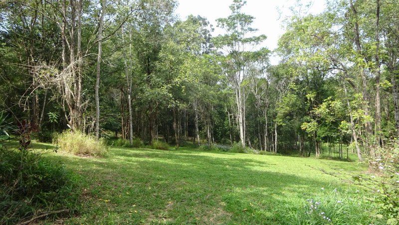 Photo - 83 Main Camp Rd , Eerwah Vale QLD 4562 - Image 9