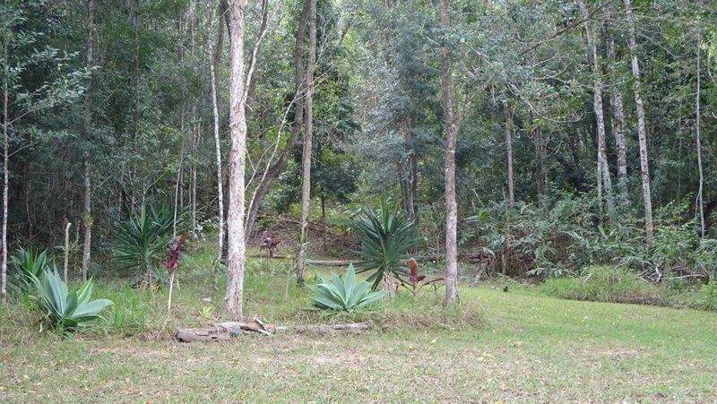 Photo - 83 Main Camp Rd , Eerwah Vale QLD 4562 - Image 10