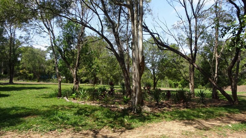 Photo - 83 Main Camp Rd , Eerwah Vale QLD 4562 - Image 12