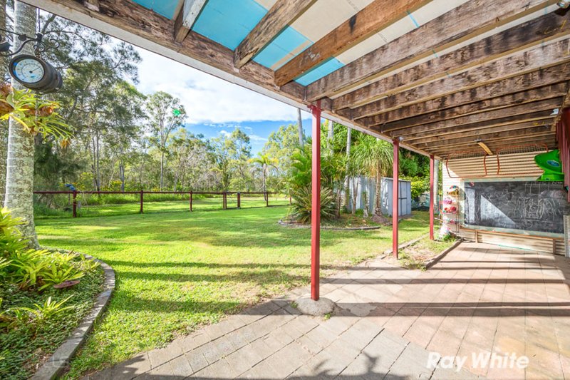 Photo - 83 Verdoni Street, Bellara QLD 4507 - Image 6