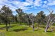 Photo - 83 Wanawong Street, Belimbla Park NSW 2570 - Image 5