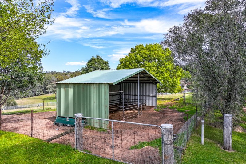 Photo - 83 Wanawong Street, Belimbla Park NSW 2570 - Image 21