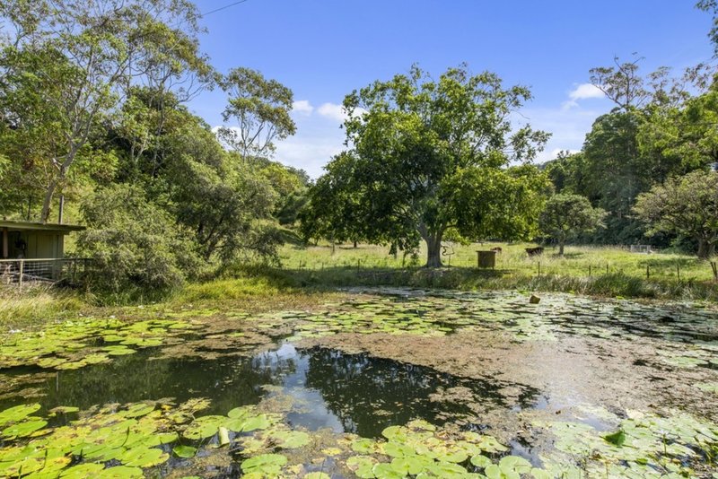 Photo - 83 Wedds Road, Boambee NSW 2450 - Image 14