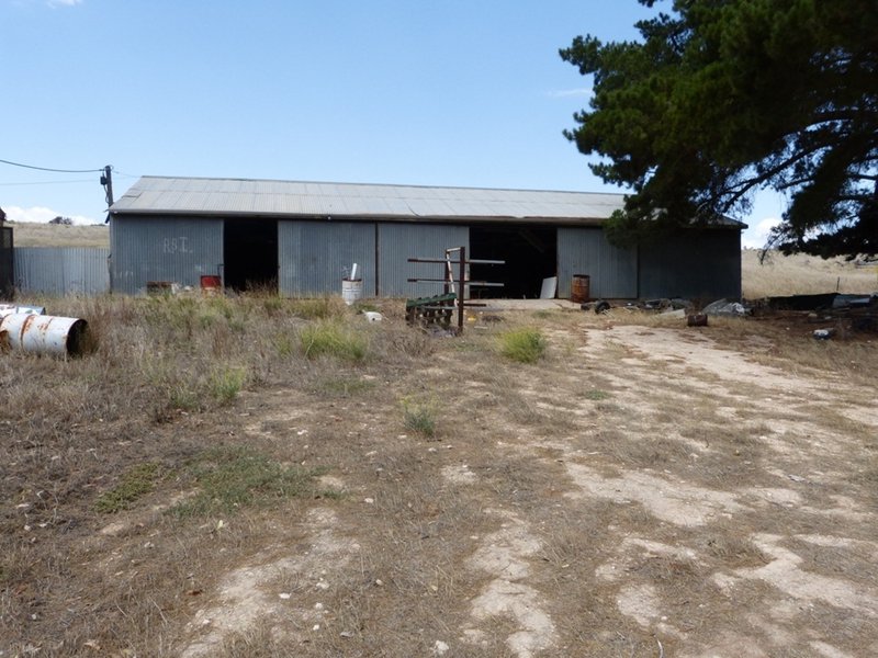 Photo - 8306 Princes Hwy , Tailem Bend SA 5259 - Image 4