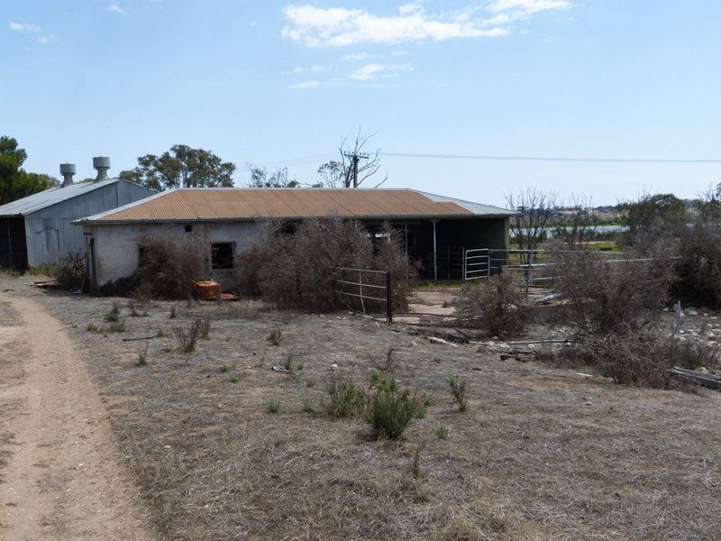 Photo - 8306 Princes Hwy , Tailem Bend SA 5259 - Image 12