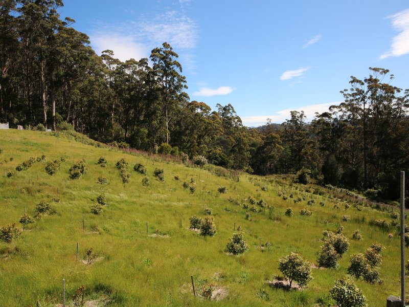 Photo - 833 Lottah Road, Lottah TAS 7216 - Image 9