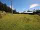 Photo - 833 Lottah Road, Lottah TAS 7216 - Image 12