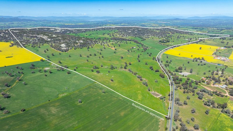 Photo - 833 Walla Walla Jindera Road, Walla Walla NSW 2659 - Image 1