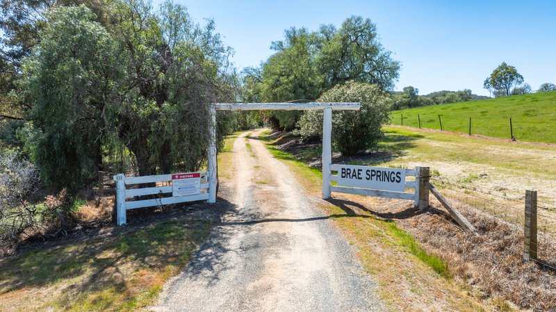 Photo - 833 Walla Walla Jindera Road, Walla Walla NSW 2659 - Image 2