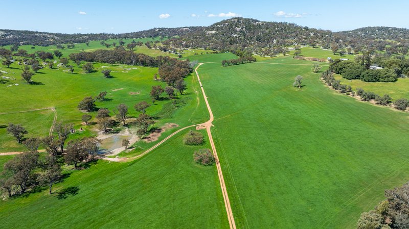 Photo - 833 Walla Walla Jindera Road, Walla Walla NSW 2659 - Image 4