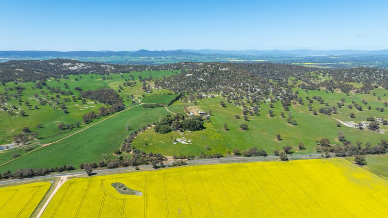 Photo - 833 Walla Walla Jindera Road, Walla Walla NSW 2659 - Image 5