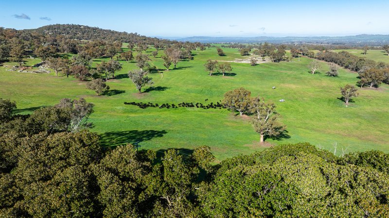 Photo - 833 Walla Walla Jindera Road, Walla Walla NSW 2659 - Image 6
