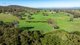 Photo - 833 Walla Walla Jindera Road, Walla Walla NSW 2659 - Image 6