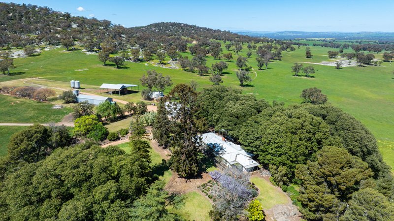 Photo - 833 Walla Walla Jindera Road, Walla Walla NSW 2659 - Image 7