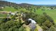 Photo - 833 Walla Walla Jindera Road, Walla Walla NSW 2659 - Image 7
