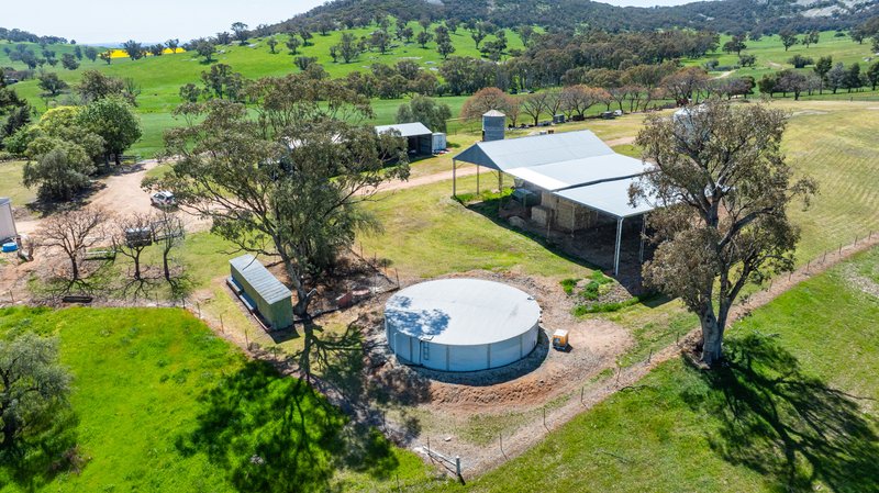Photo - 833 Walla Walla Jindera Road, Walla Walla NSW 2659 - Image 9