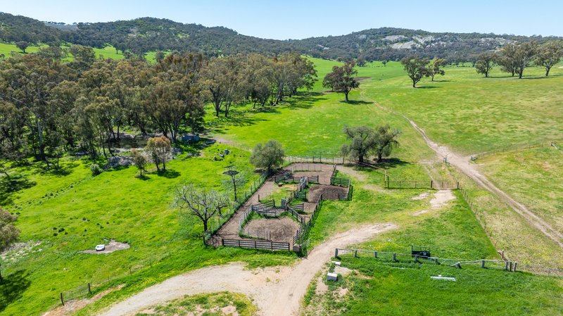 Photo - 833 Walla Walla Jindera Road, Walla Walla NSW 2659 - Image 10