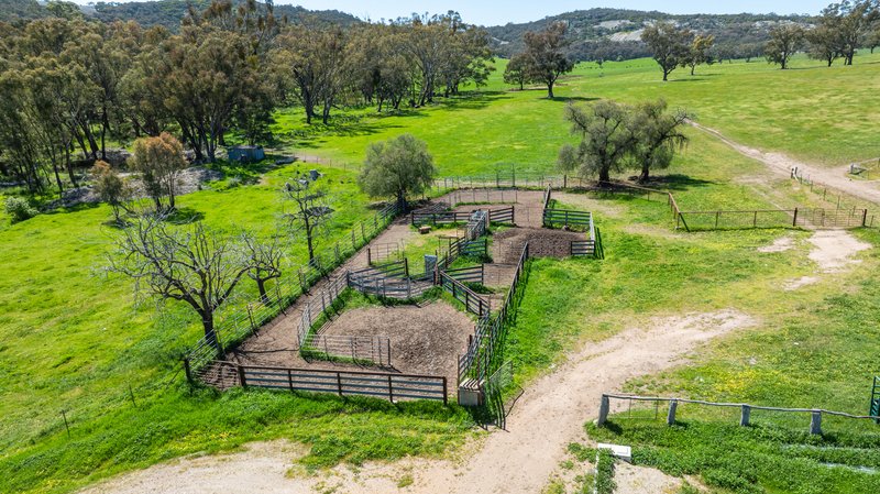 Photo - 833 Walla Walla Jindera Road, Walla Walla NSW 2659 - Image 12