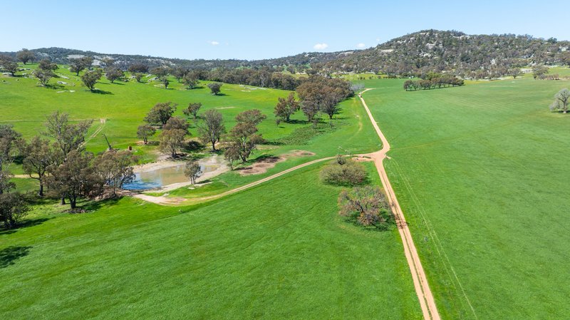 Photo - 833 Walla Walla Jindera Road, Walla Walla NSW 2659 - Image 14