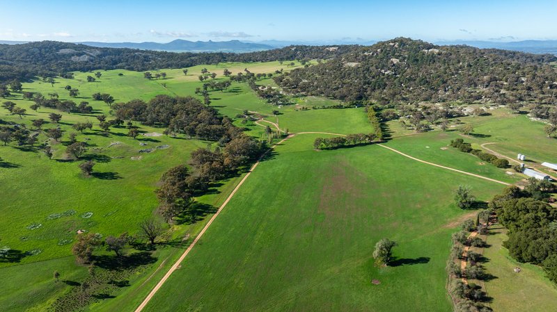 Photo - 833 Walla Walla Jindera Road, Walla Walla NSW 2659 - Image 16