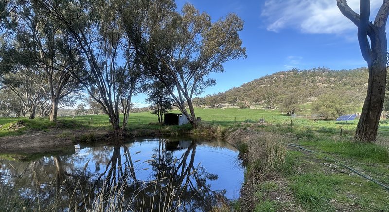 Photo - 833 Walla Walla Jindera Road, Walla Walla NSW 2659 - Image 17