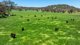 Photo - 833 Walla Walla Jindera Road, Walla Walla NSW 2659 - Image 19