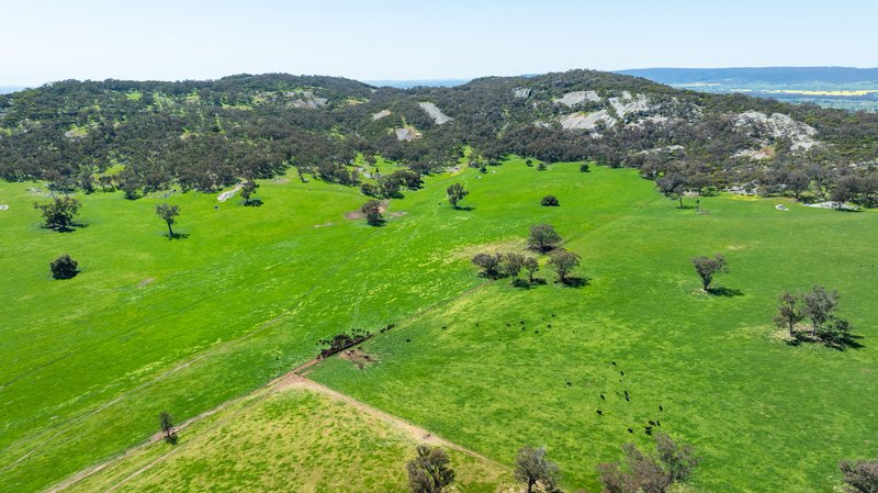 Photo - 833 Walla Walla Jindera Road, Walla Walla NSW 2659 - Image 20