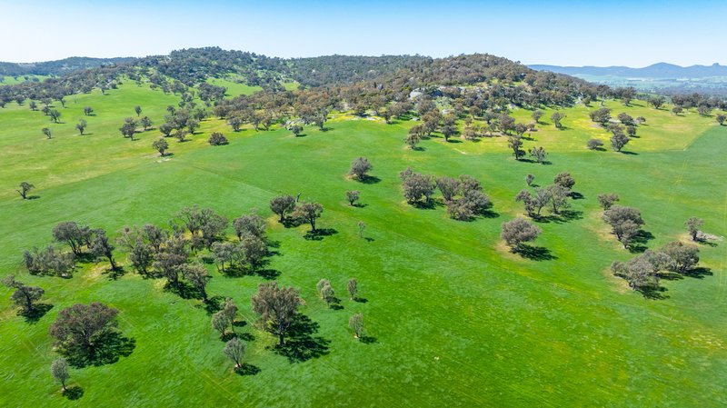 Photo - 833 Walla Walla Jindera Road, Walla Walla NSW 2659 - Image 27