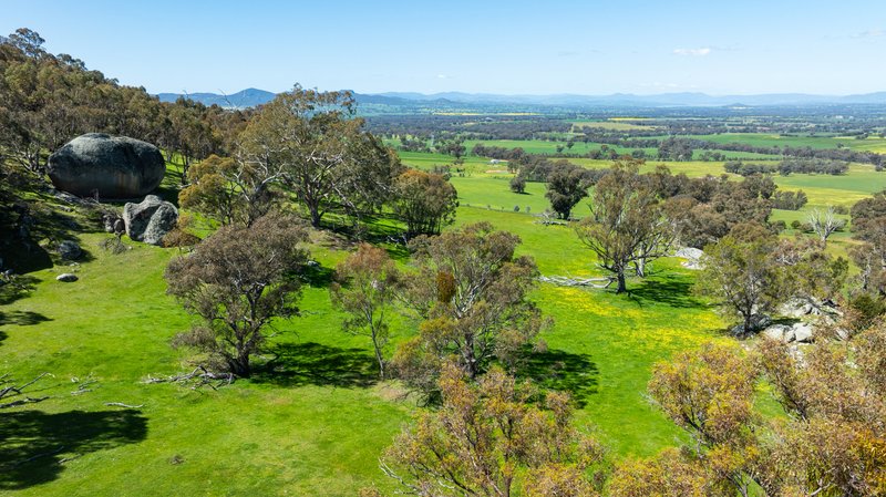Photo - 833 Walla Walla Jindera Road, Walla Walla NSW 2659 - Image 29