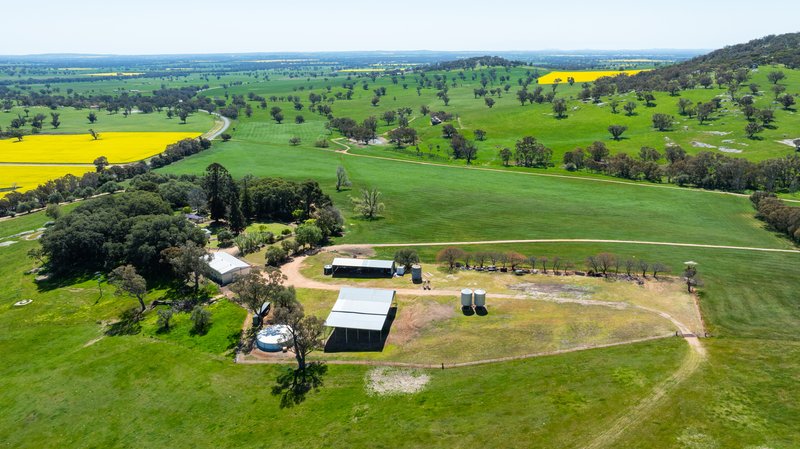 Photo - 833 Walla Walla Jindera Road, Walla Walla NSW 2659 - Image 30