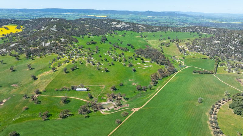 Photo - 833 Walla Walla Jindera Road, Walla Walla NSW 2659 - Image 32