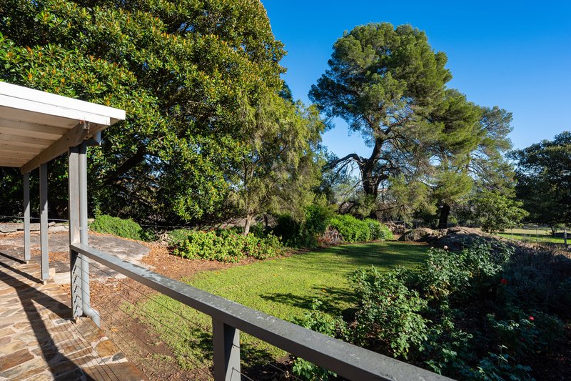 Photo - 833 Walla Walla Jindera Road, Walla Walla NSW 2659 - Image 35