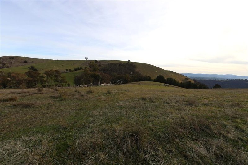 Photo - 837 Argalong Road, Argalong NSW 2720 - Image 1