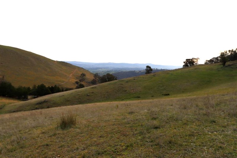 Photo - 837 Argalong Road, Argalong NSW 2720 - Image 6