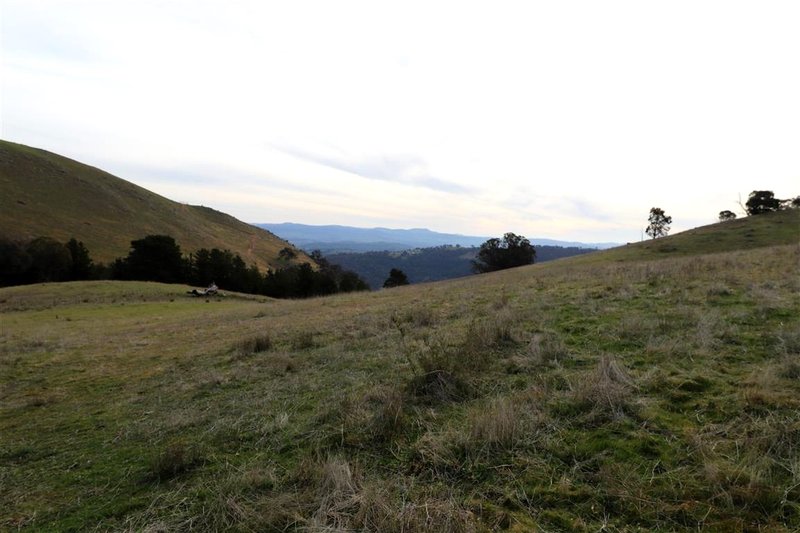 Photo - 837 Argalong Road, Argalong NSW 2720 - Image 8