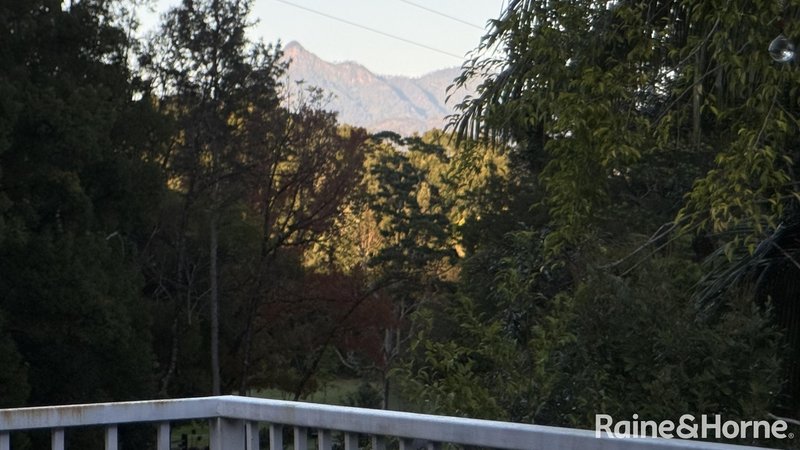 Photo - 837 Nobbys Creek Road, Nobbys Creek NSW 2484 - Image 6